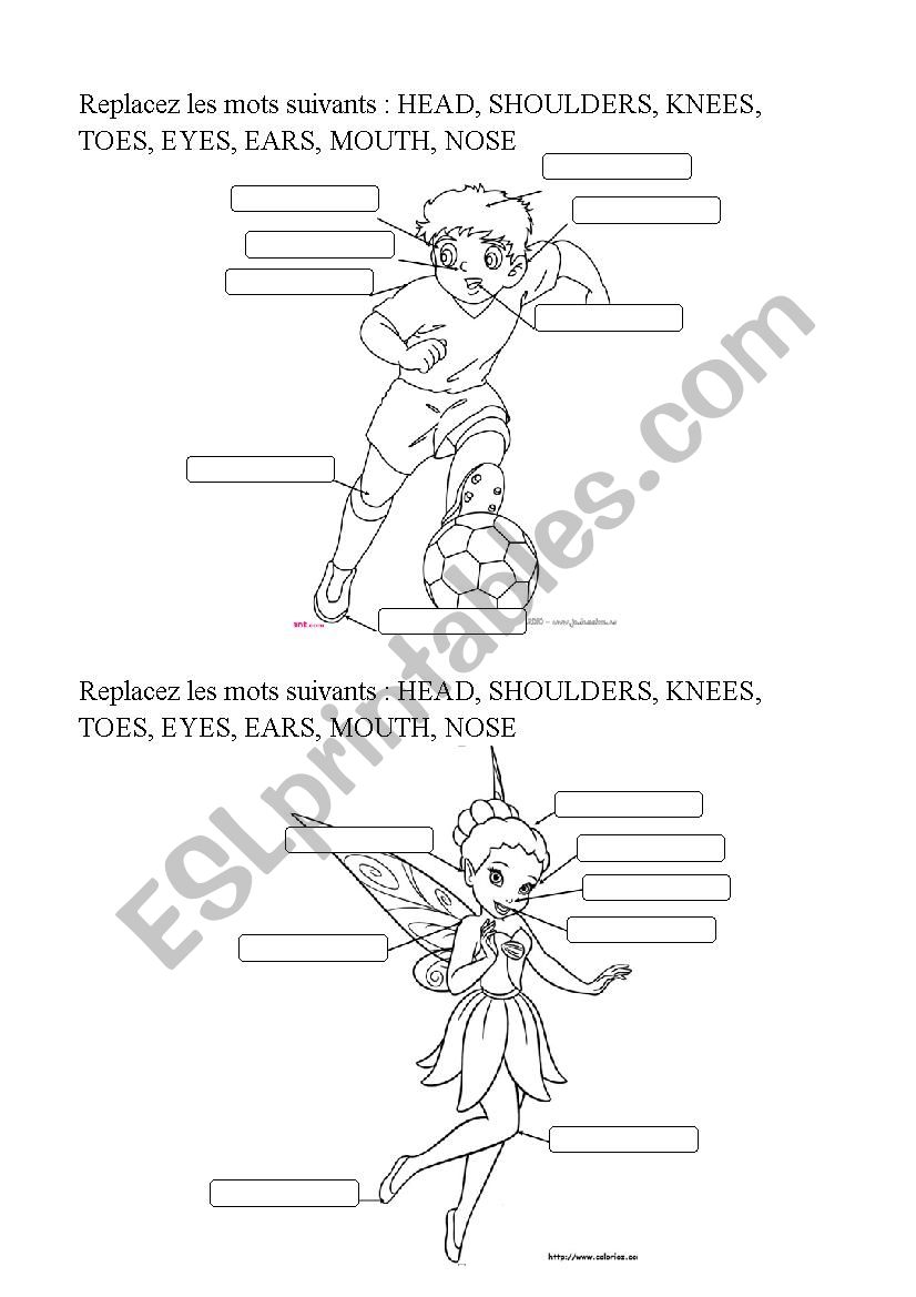 BODY PARTS FOR THE SONG HEAD SHOULDERS KNEES AND TOES