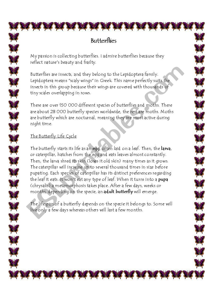 Butterfly worksheet