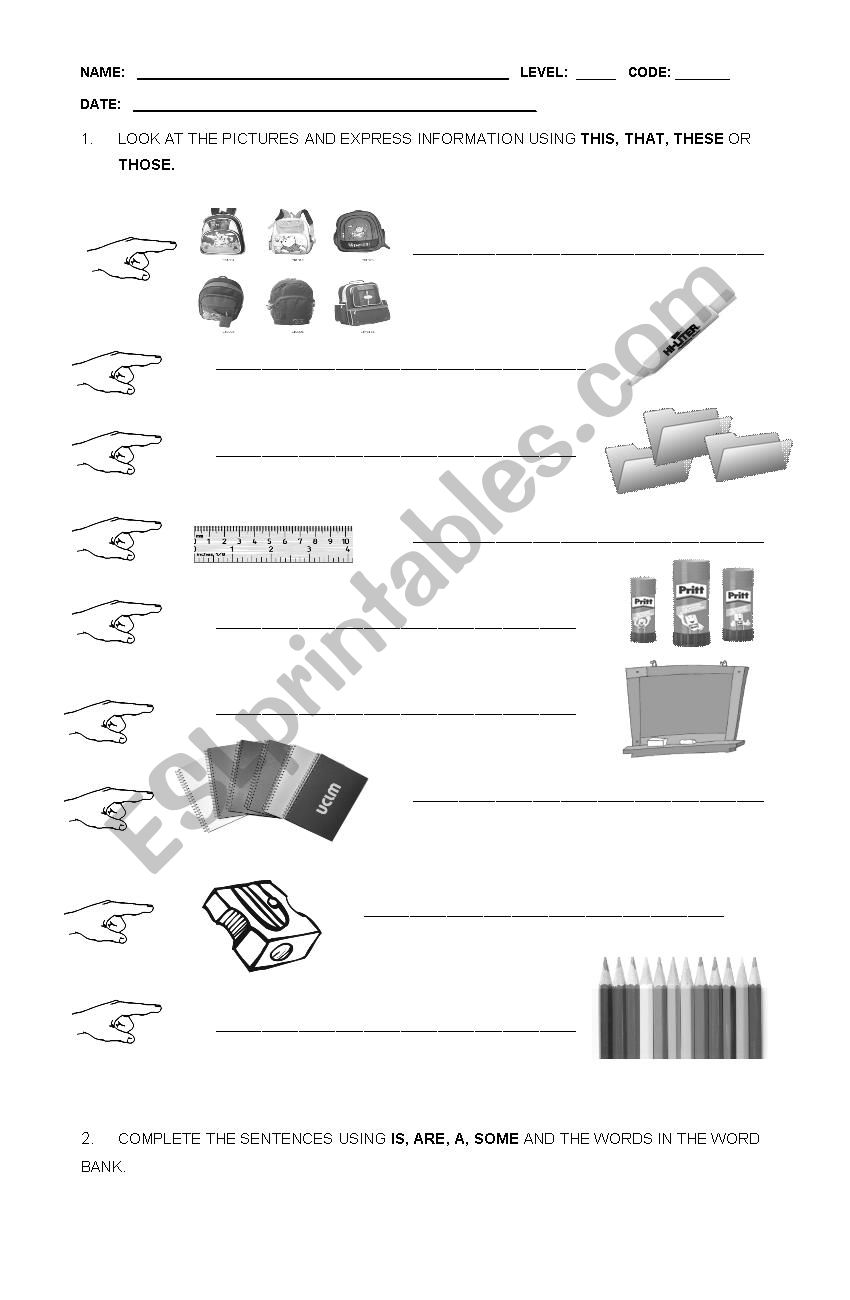 Demonstrative worksheet