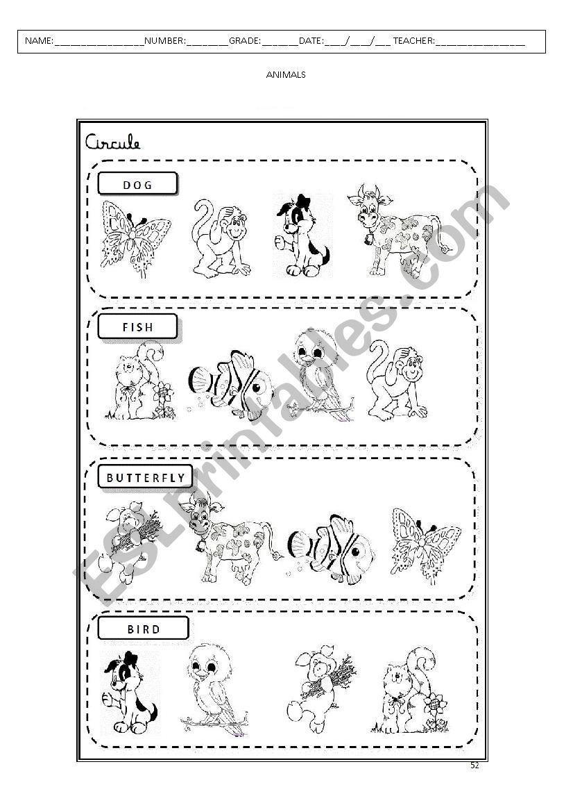 ANIMAL worksheet