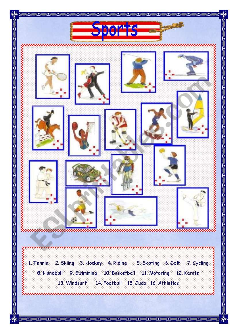 Sports worksheet