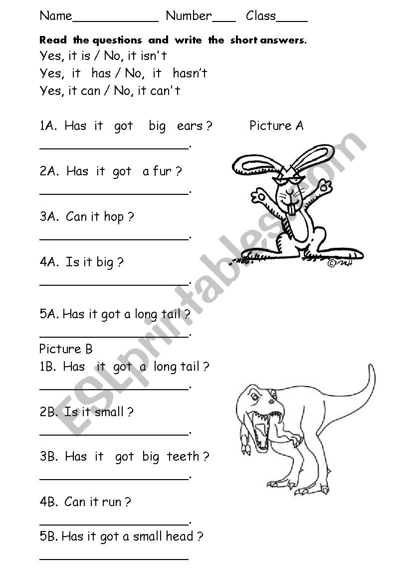 questions / animals worksheet