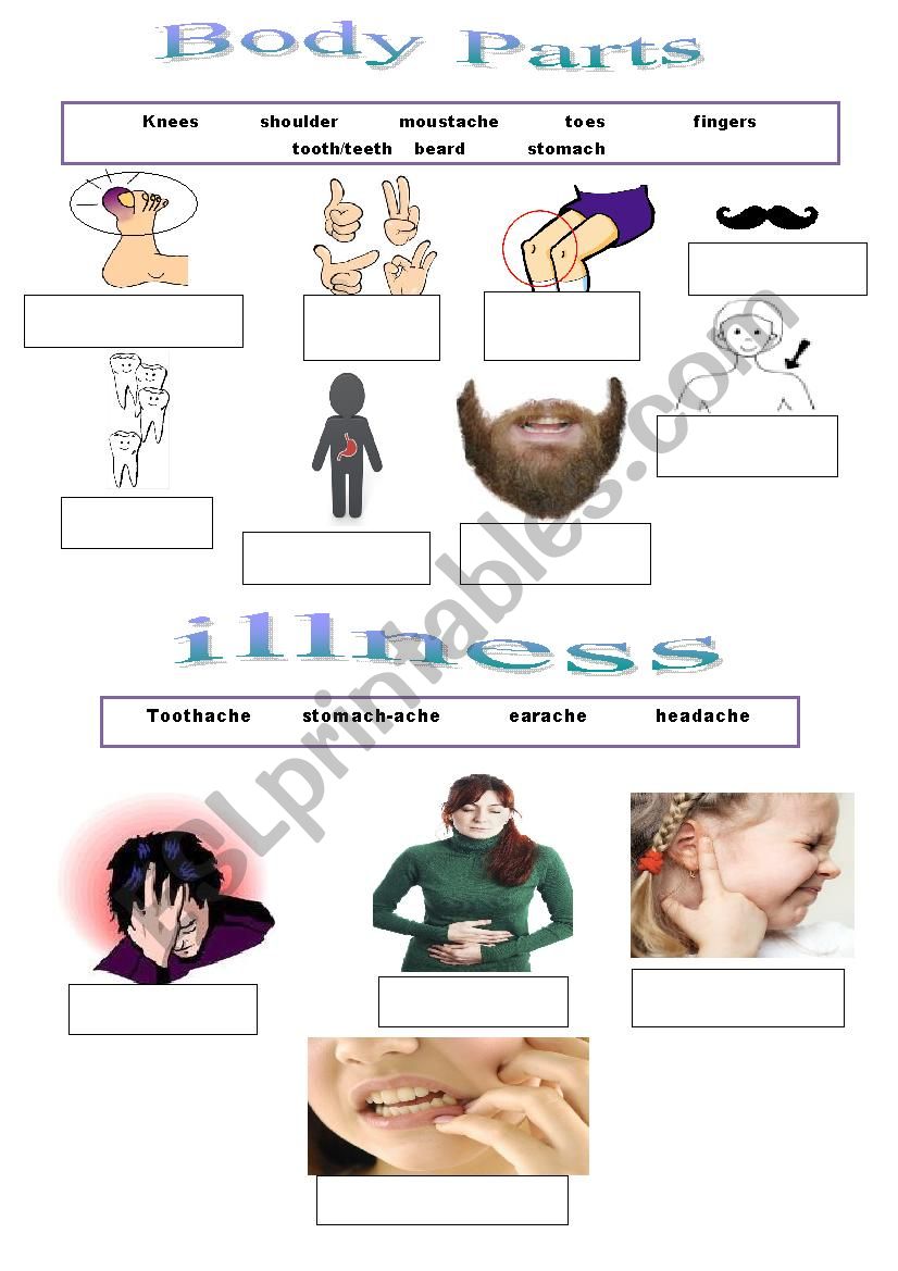 BODY PARTS & ILLNESS worksheet