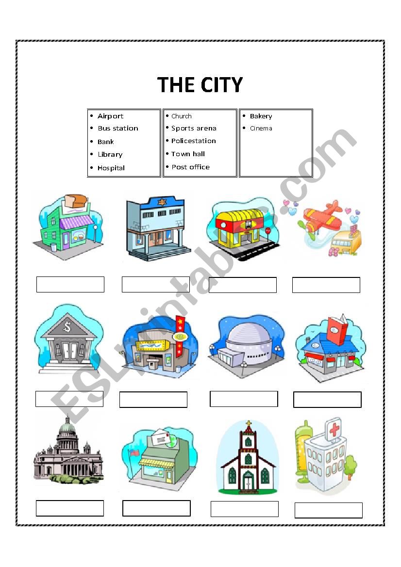 The city  worksheet