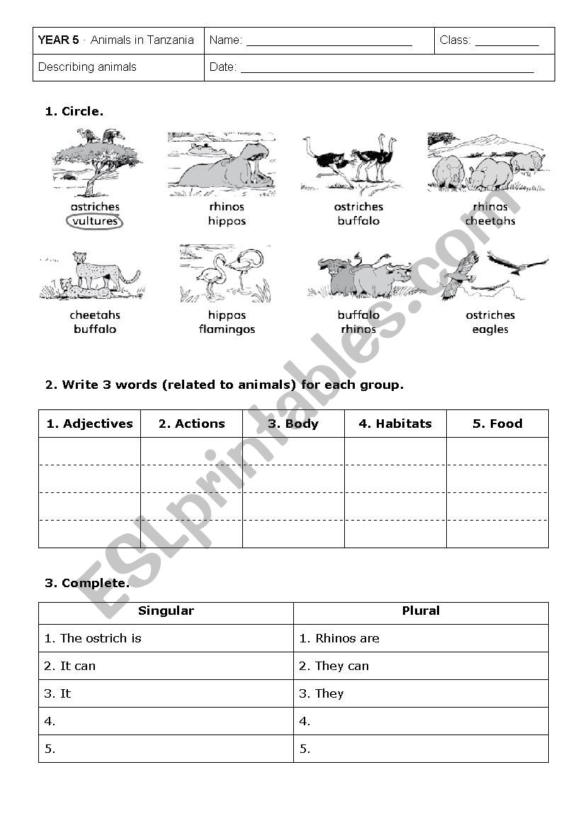 Describing animals worksheet