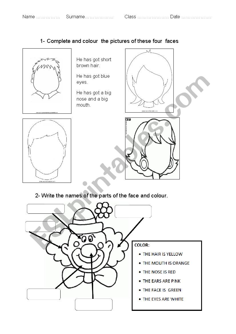 The parts of the face worksheet