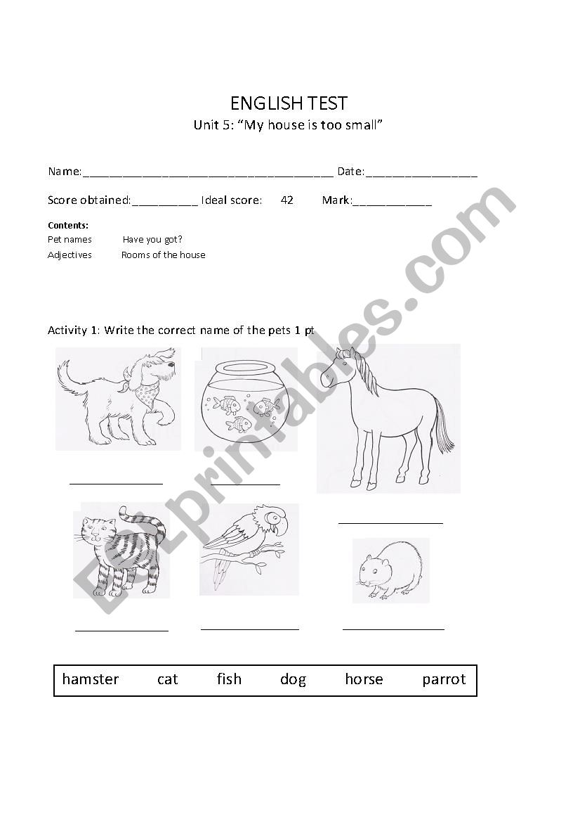 Pet test worksheet