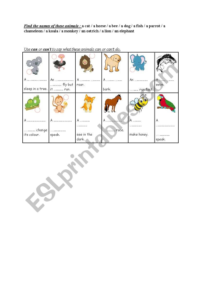 Animals and abilities worksheet