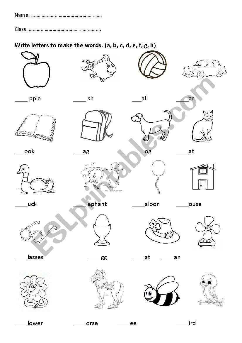 Alphabets & Counting worksheet