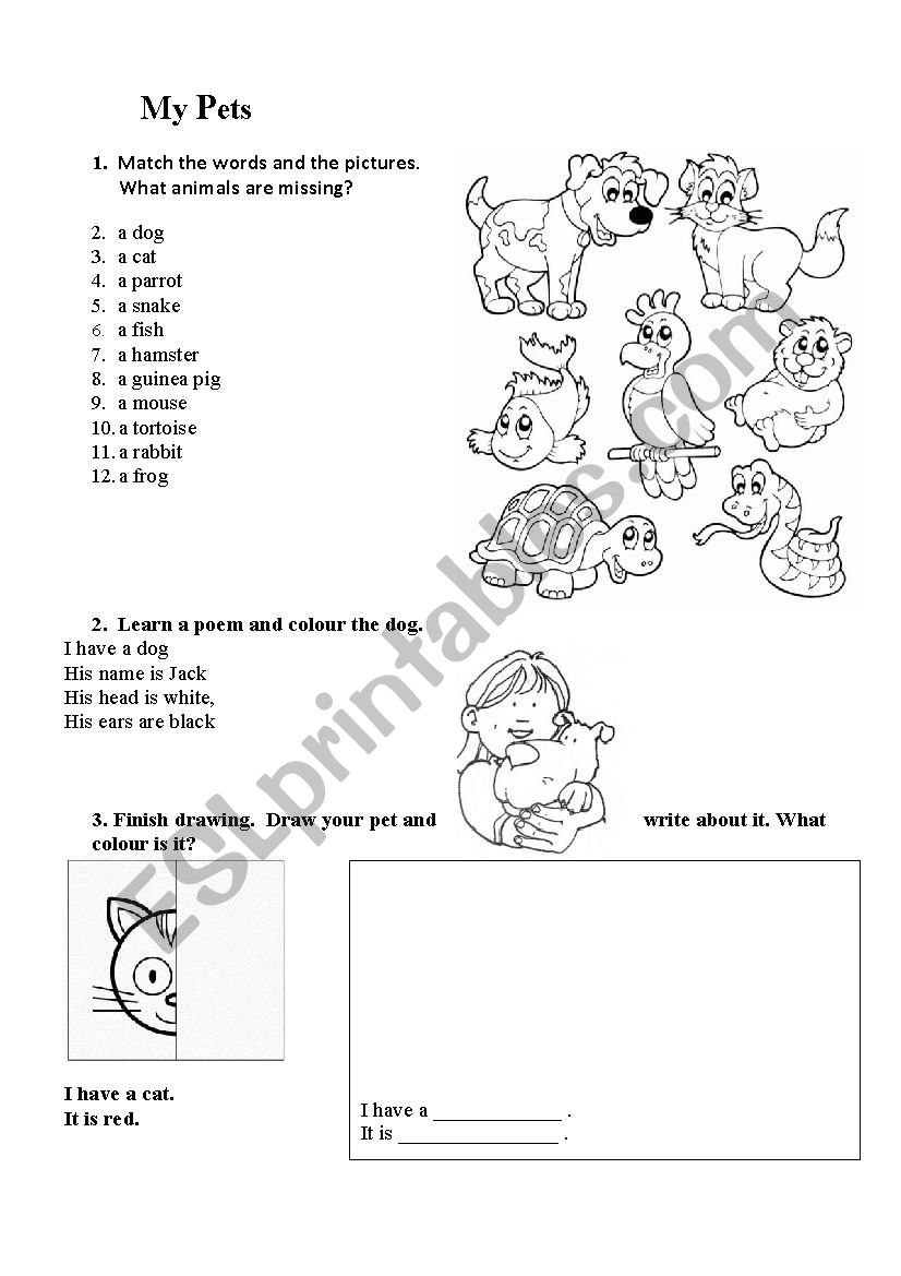 My pets worksheet