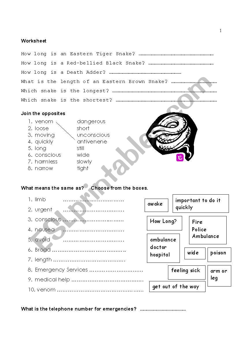 Snakes (Part 3 of 3) worksheet