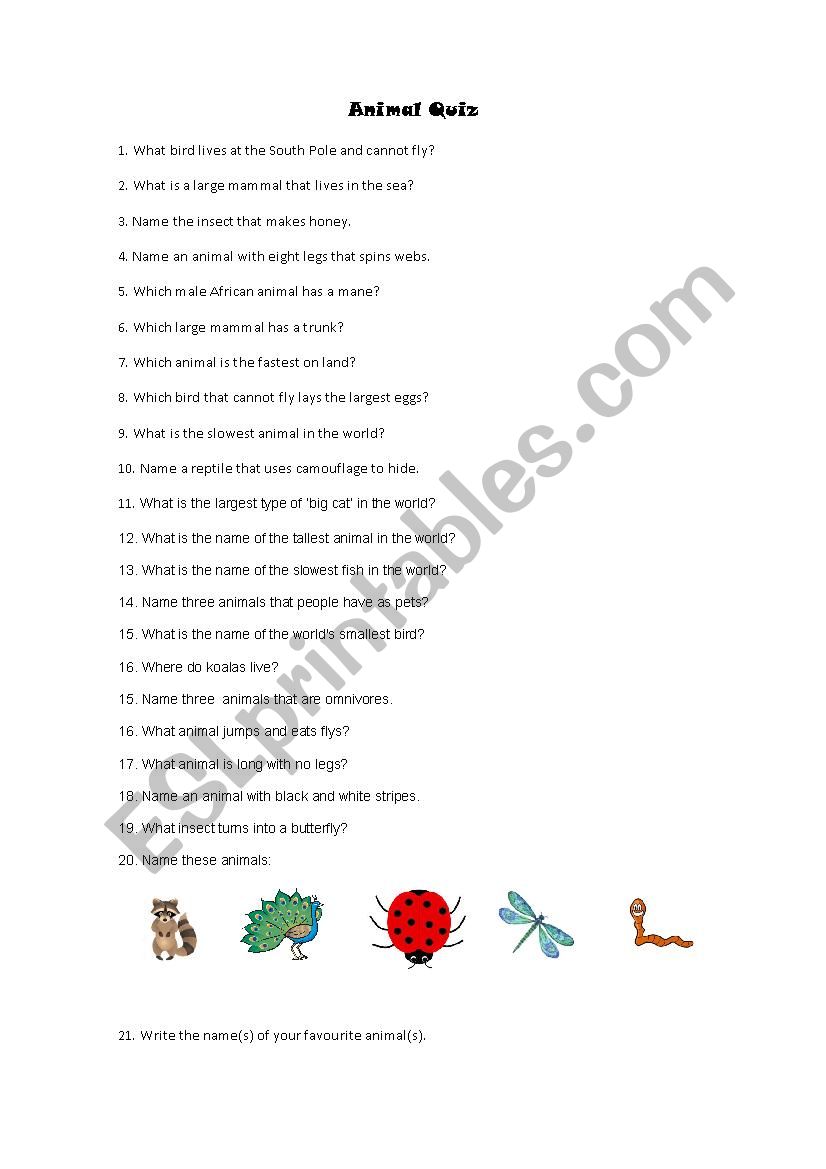 Animal quiz worksheet