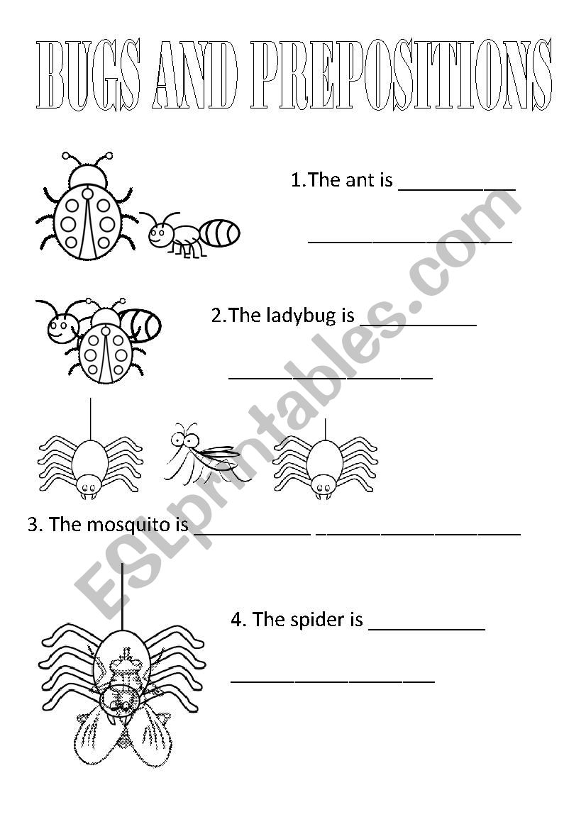 BUGS AND PREPOSITIONS worksheet