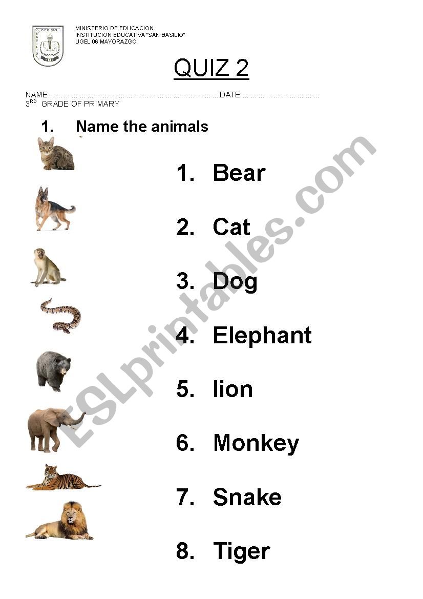 ANIMALS AND VERBS worksheet