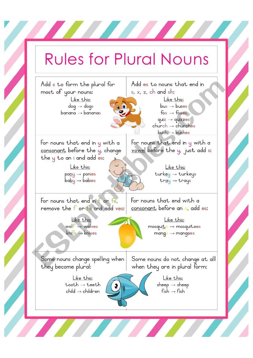 Rules for Plural Nouns worksheet