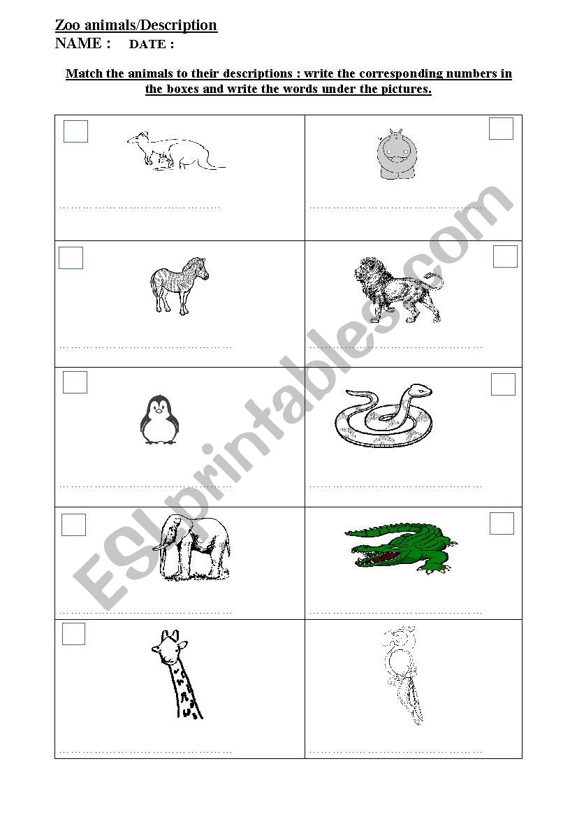 zoo animals description worksheet