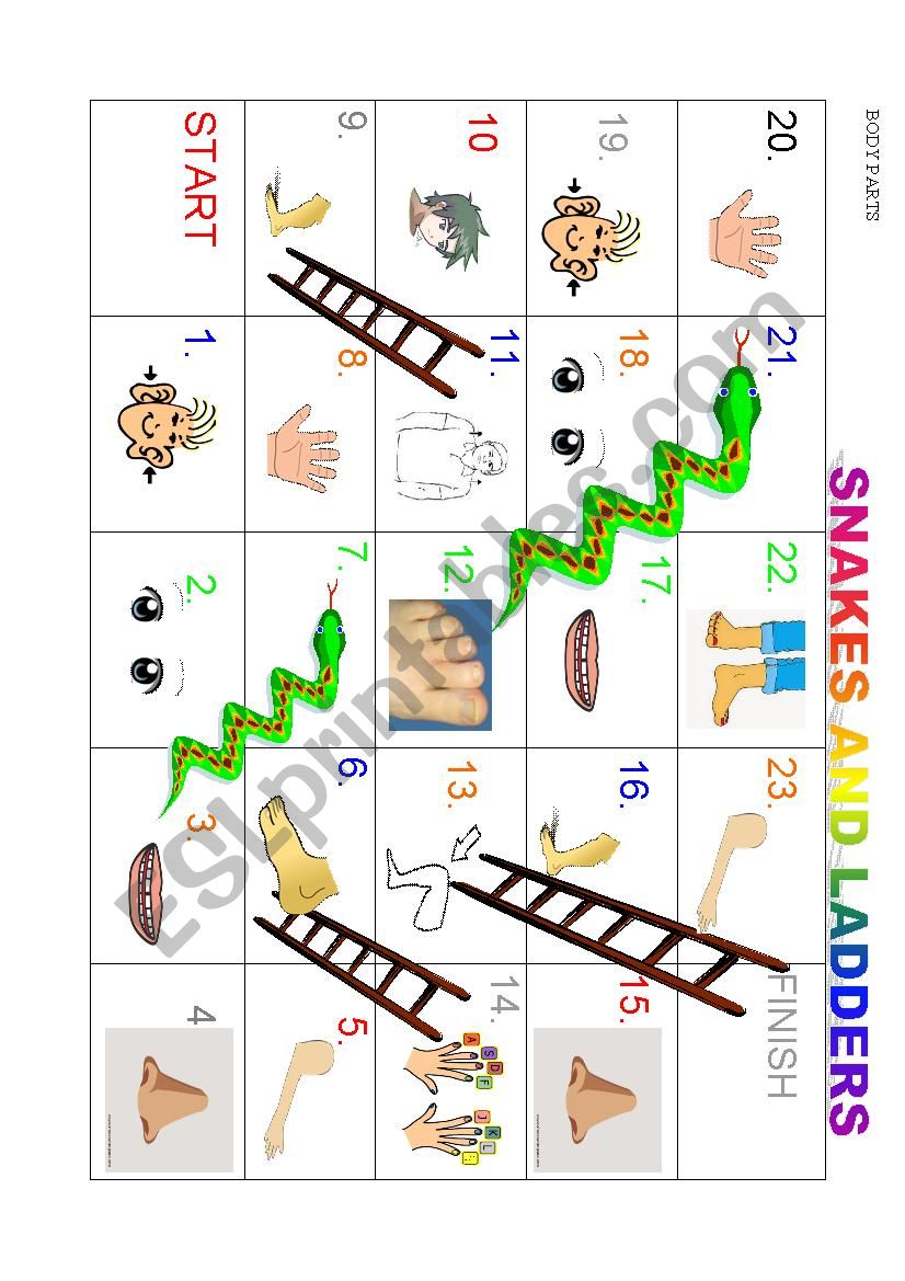 Body Parts Snakes and ladders worksheet