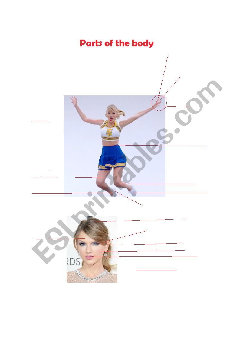Body_Parts_Taylor_Swift worksheet