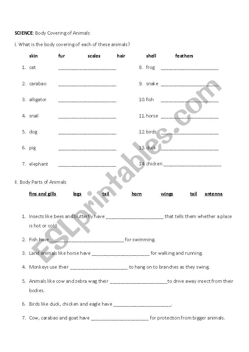 Animal Body Parts worksheet