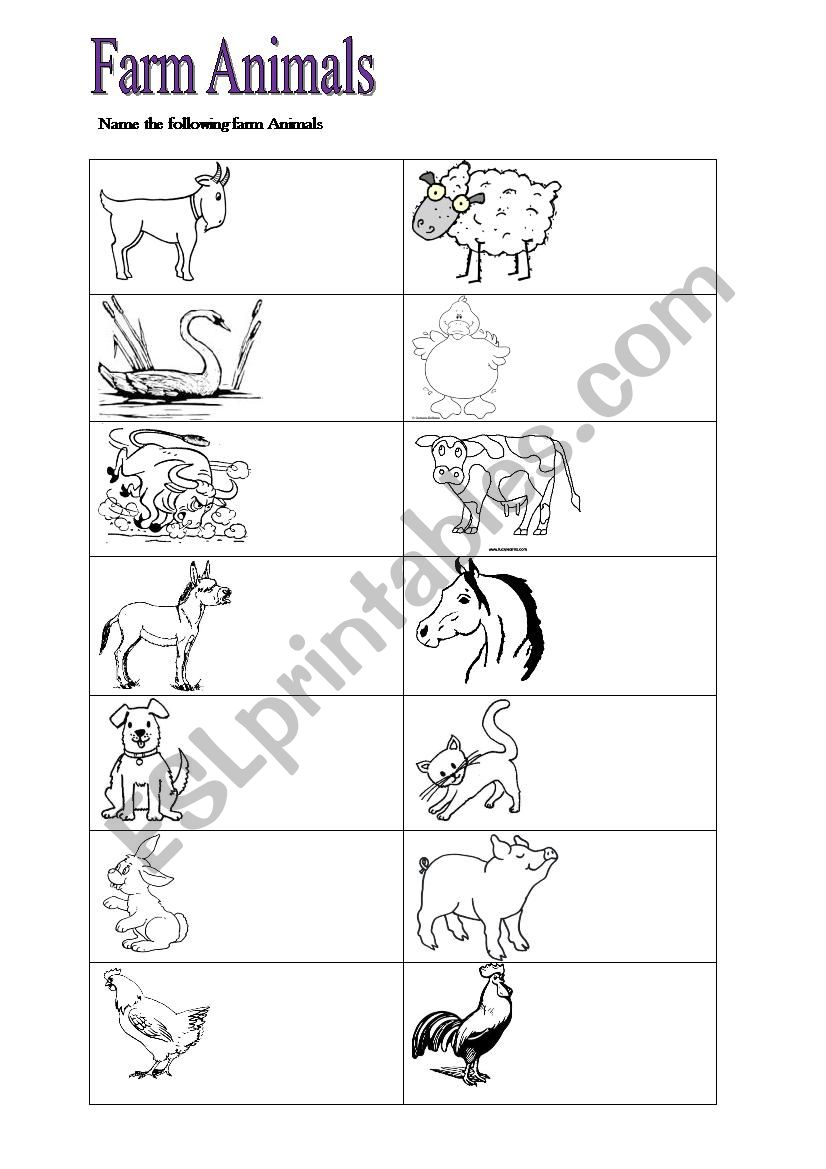 Name the farm animals worksheet