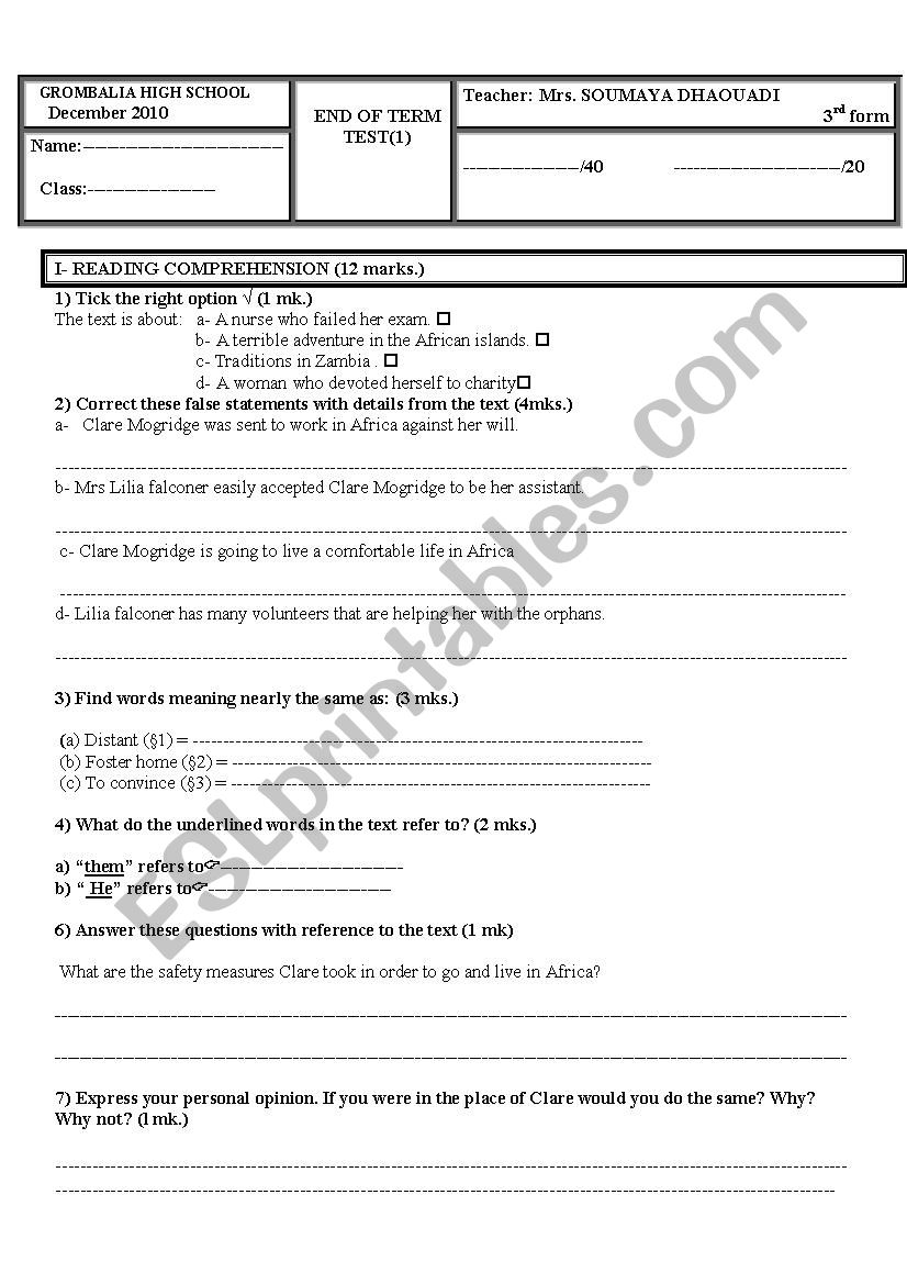 reading comprehension worksheet