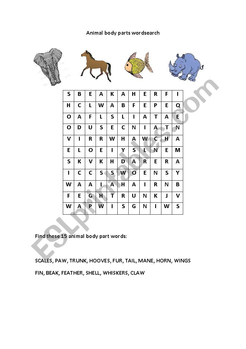 Animal body parts wordsearch worksheet