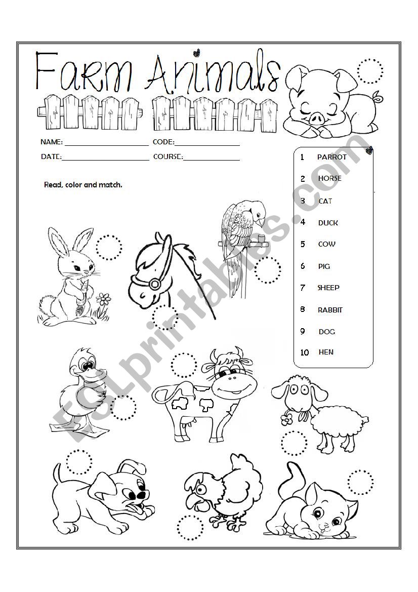 Farm animals  worksheet