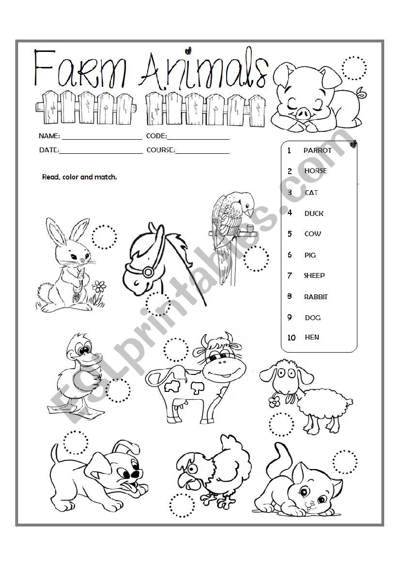 Farm animals  worksheet