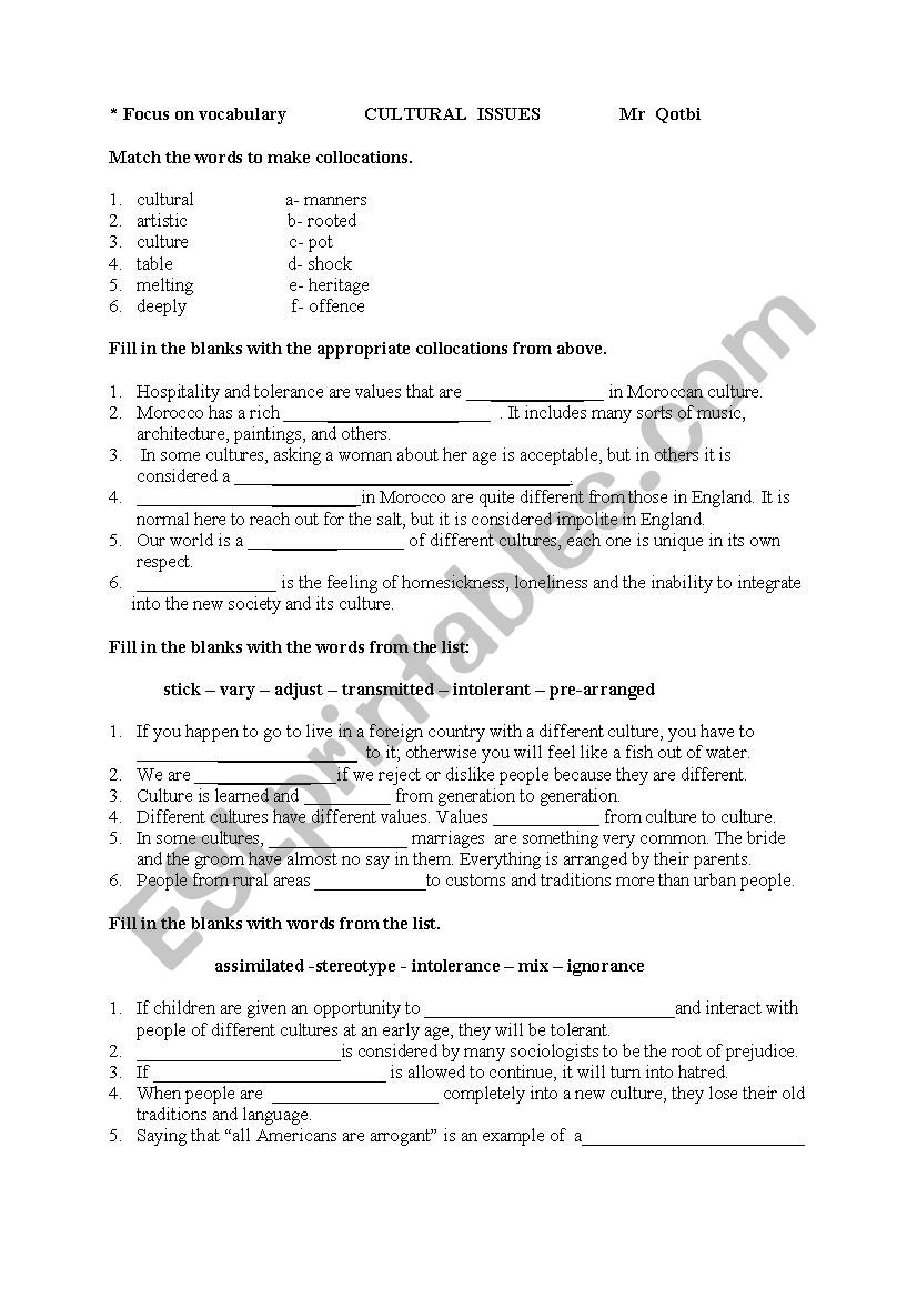 cultural issues worksheet