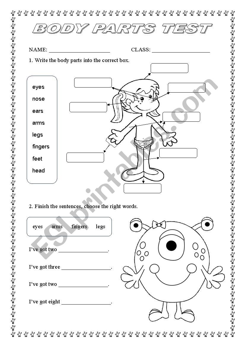 Body parts test worksheet