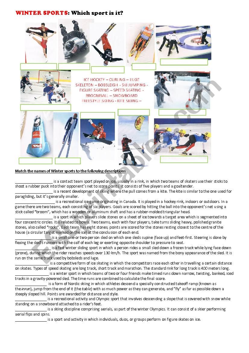 Winter sports  worksheet