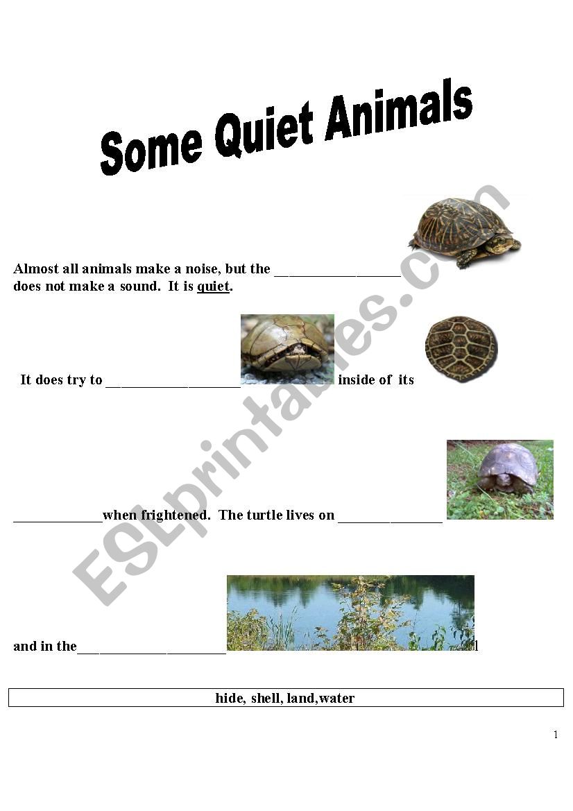 Some Quiet  Animals-1 worksheet