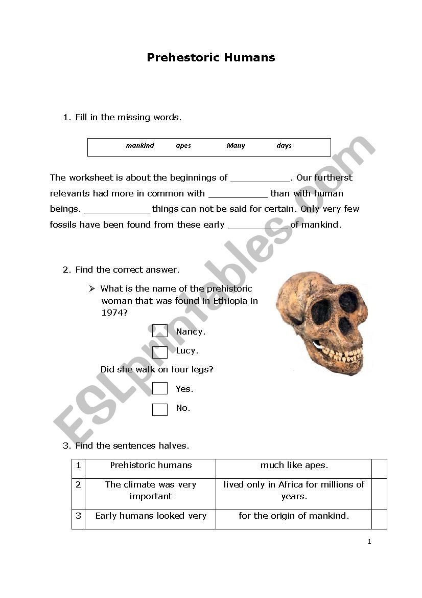 Prehistoric humans worksheet