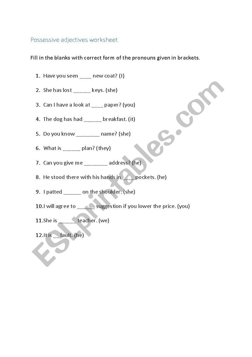 possessive adjectives worksheet