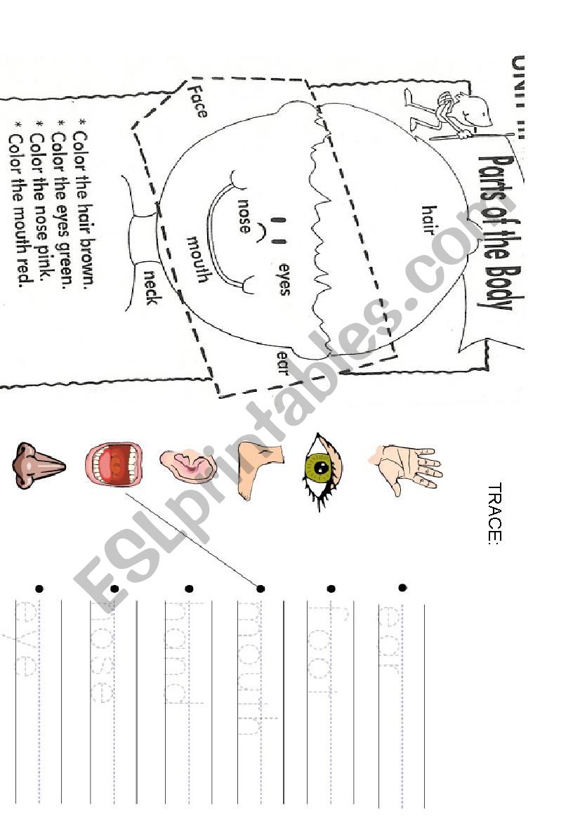 Face- trace/ colour worksheet