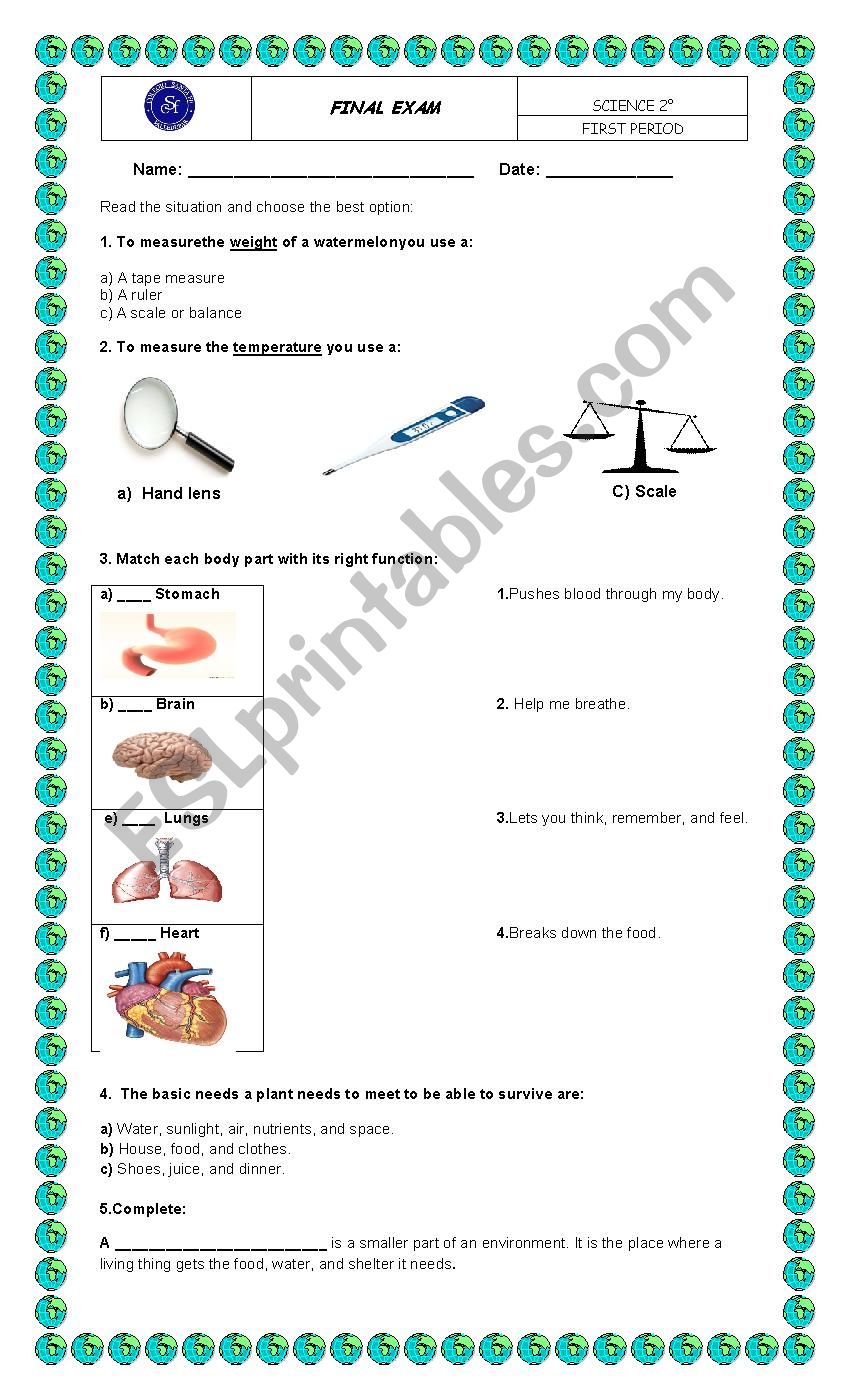 SCIENCE EXAM worksheet