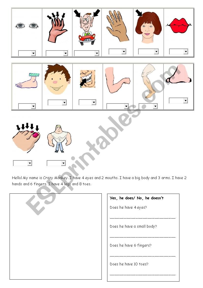 Parts of the body worksheet