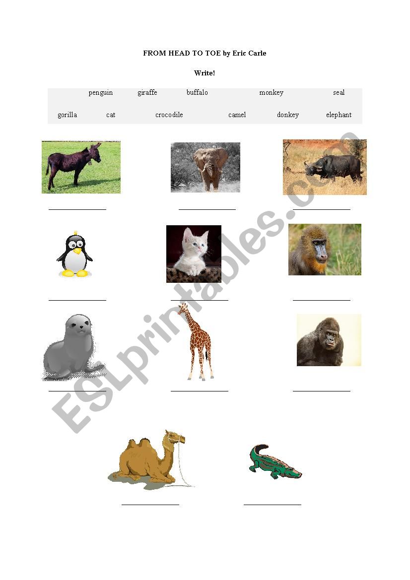 From Head to Toe by Eric Carle - worksheet with animals