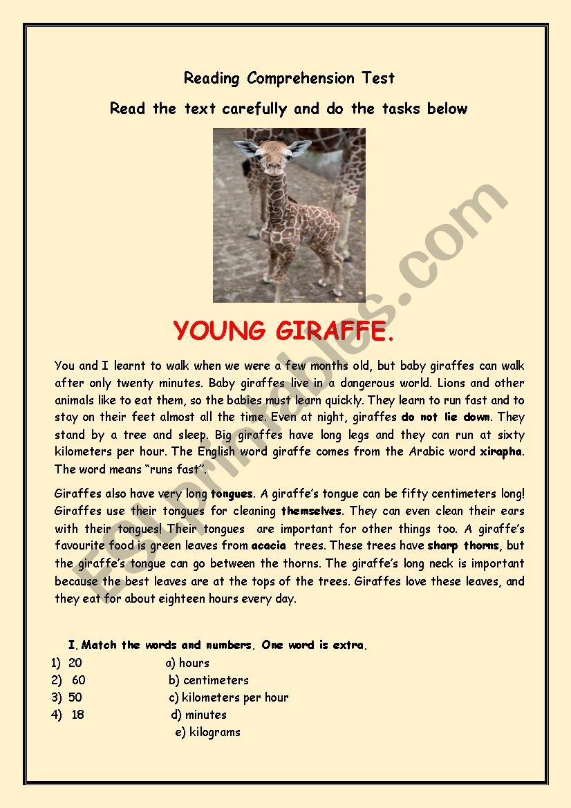 Young giraffe worksheet