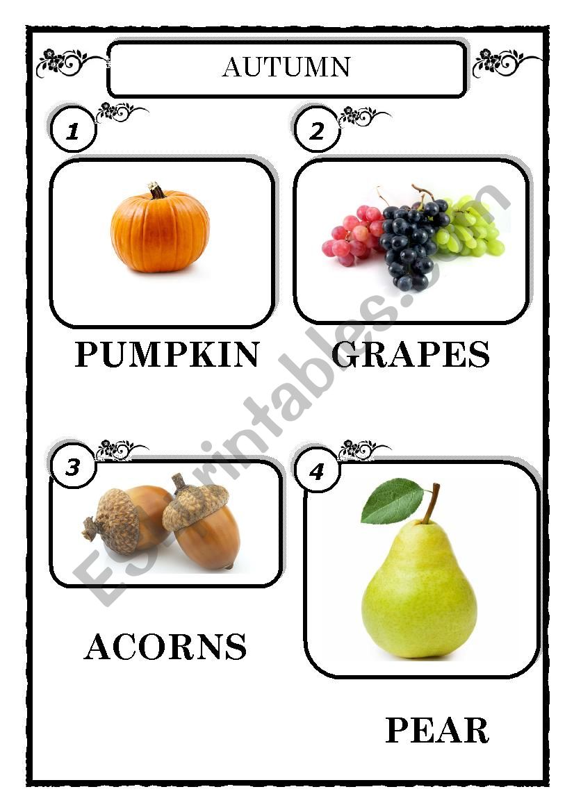 Autumn worksheet