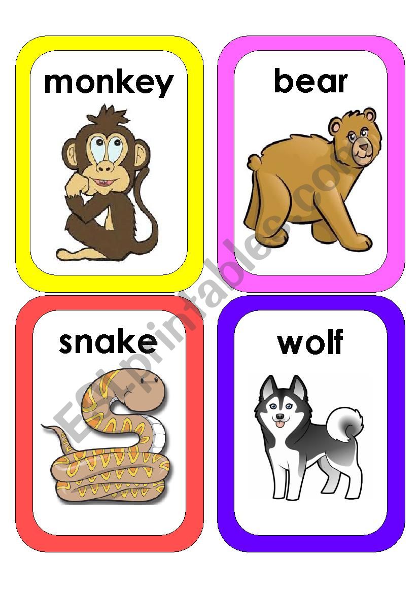 jungle animals flascards worksheet