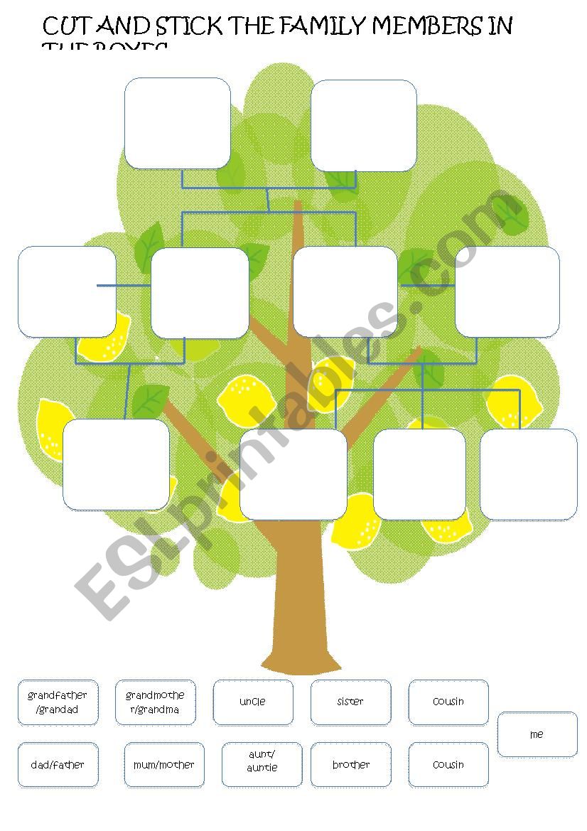 Family Tree worksheet