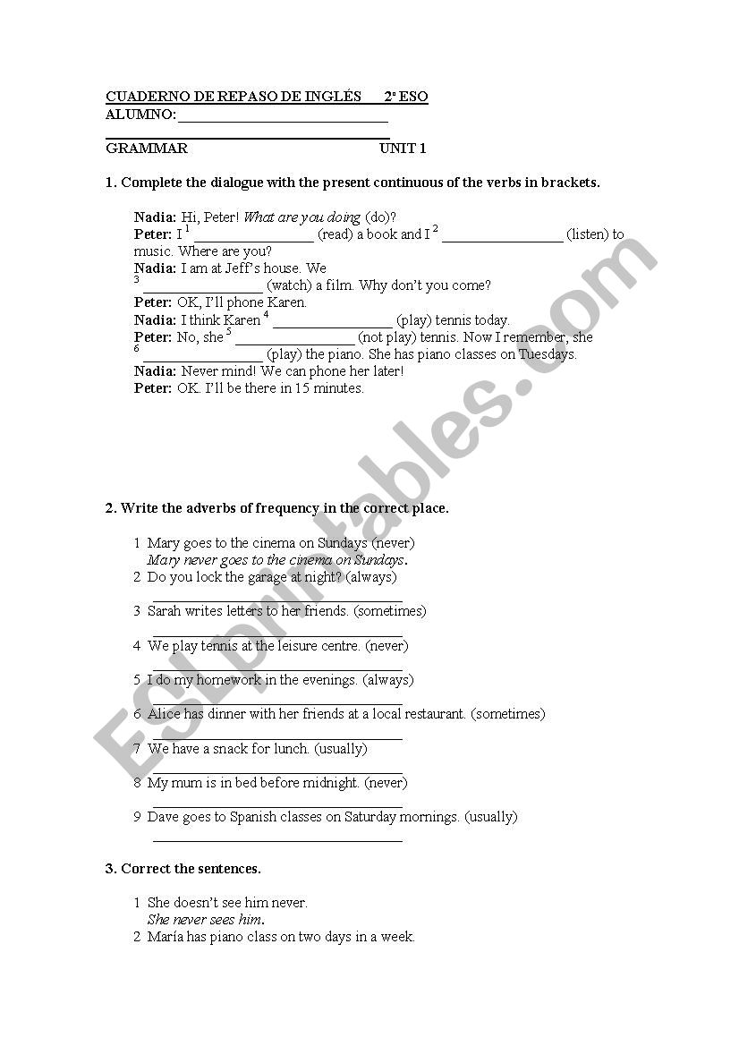 exercises grammar  revision  worksheet