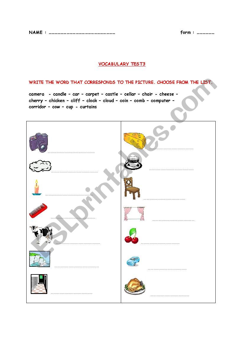 VOCABULARY TEST3 worksheet