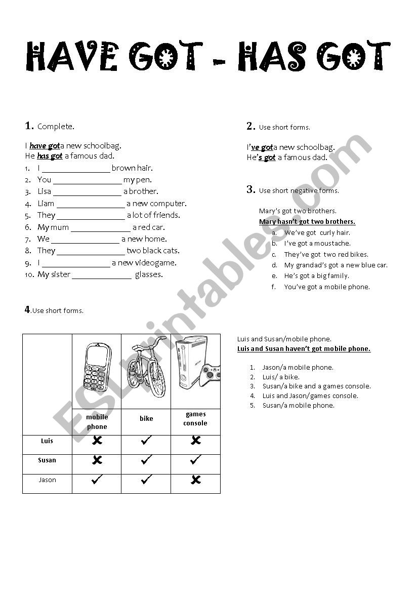 have got - has got worksheet