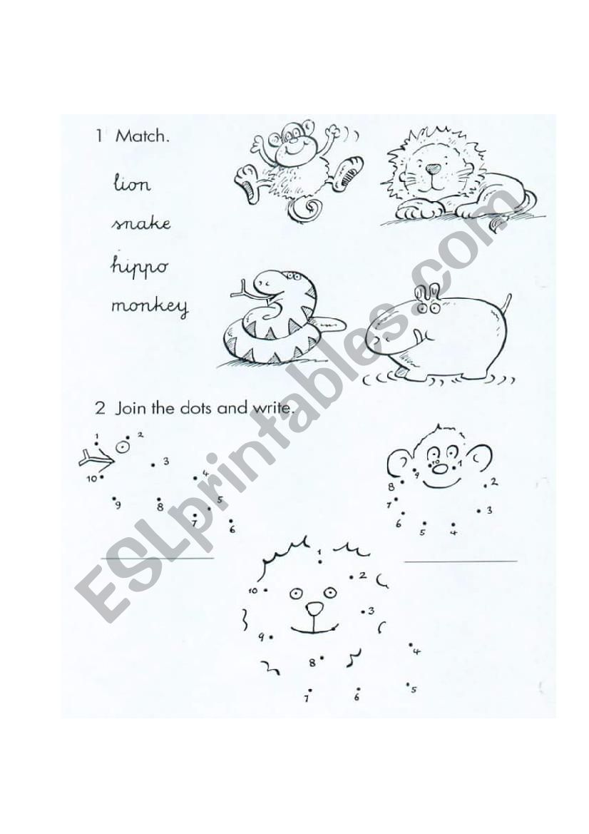 animals worksheet