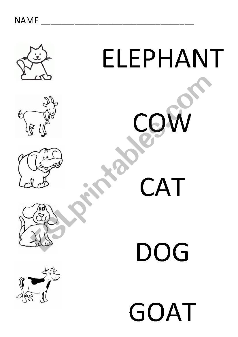 ANIMALS worksheet