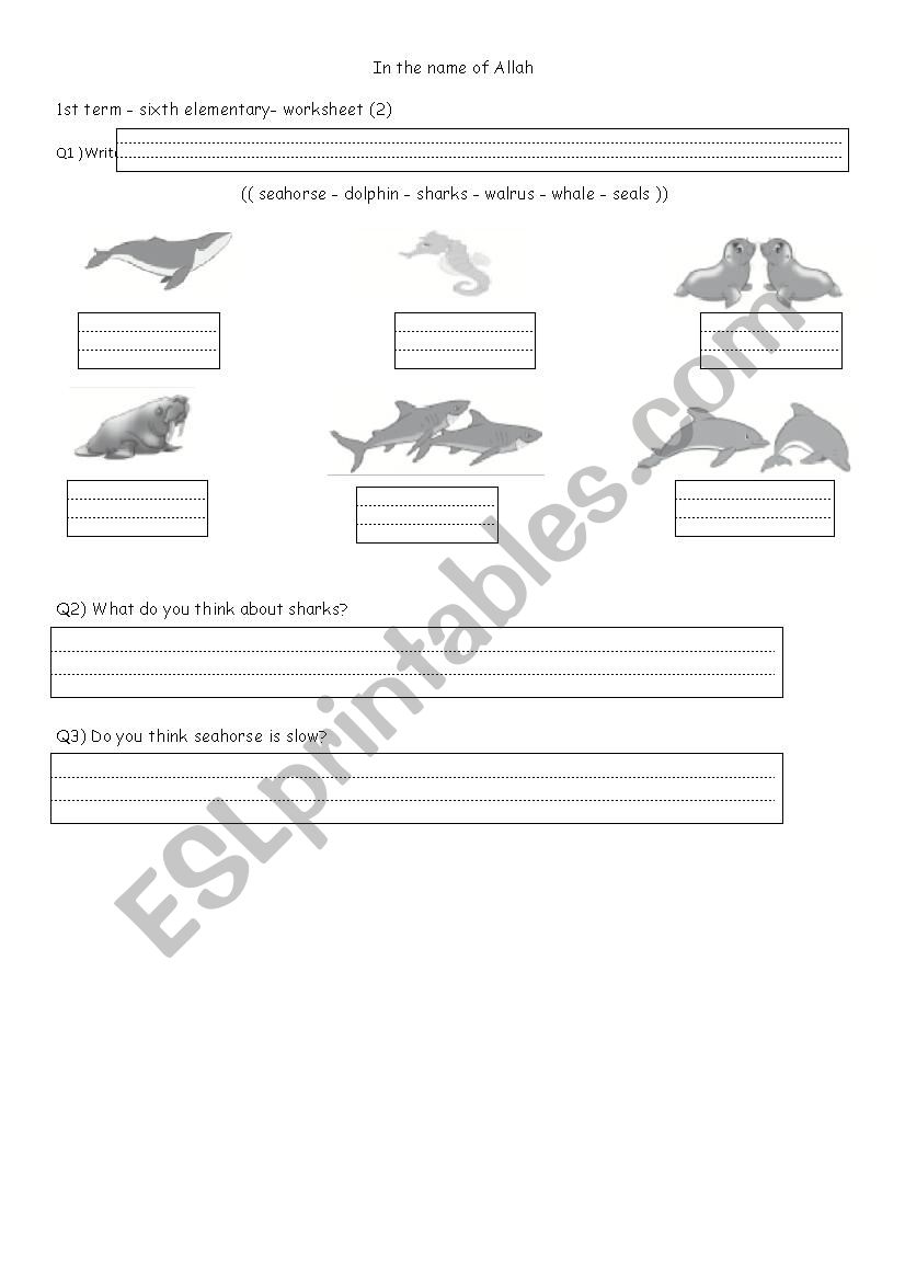 sea animals worksheet