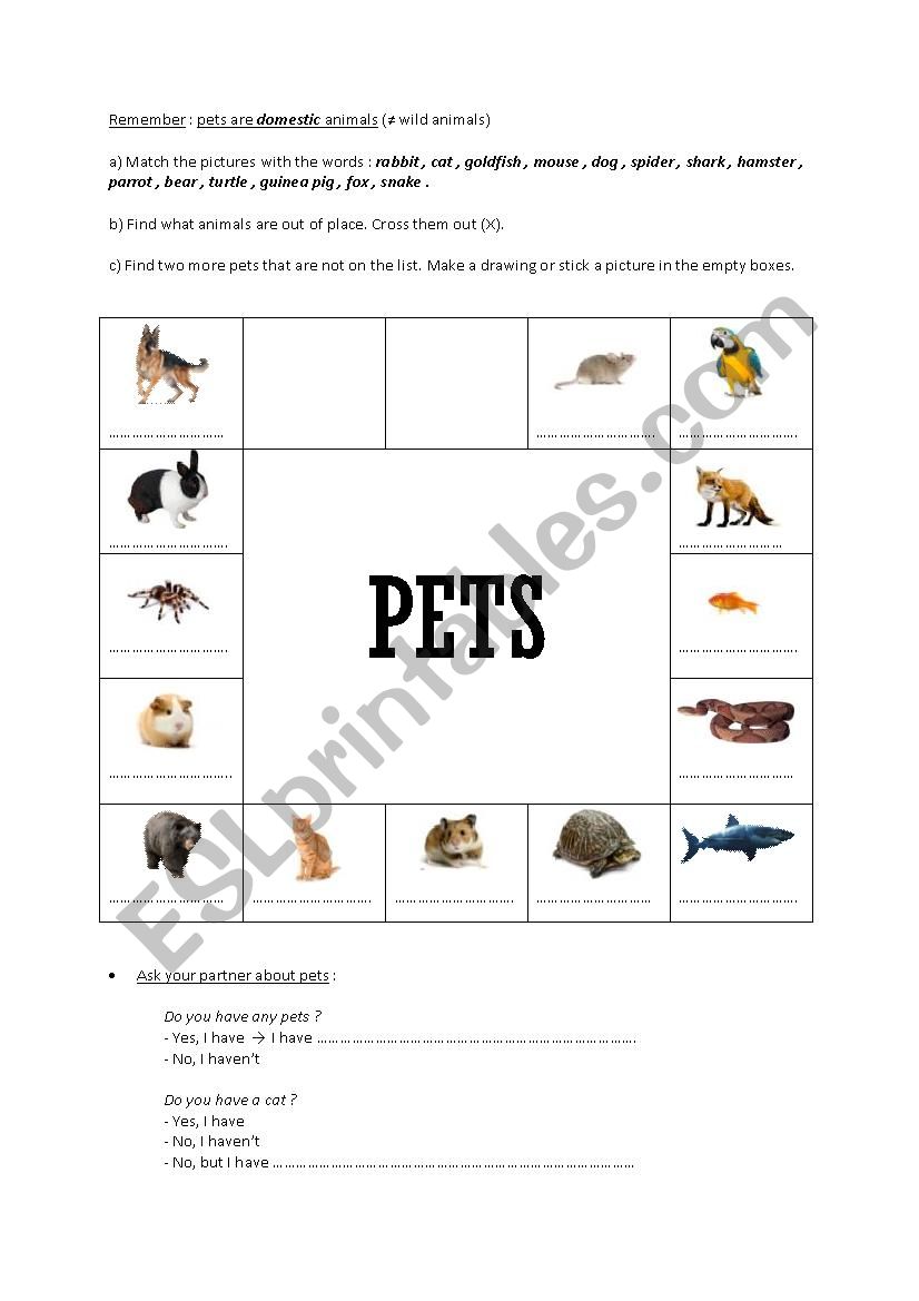 Pets worksheet