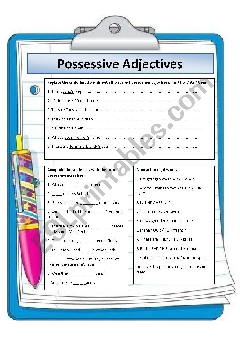 Possessive Adjectives worksheet